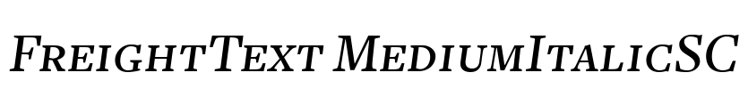 FreightText MediumItalicSC