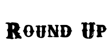 Round Up Font Image