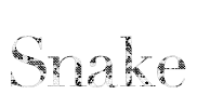 Snake Font Image