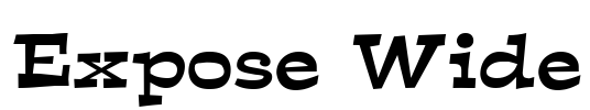 Expose Wide Font Image