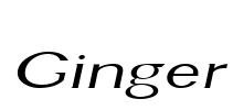 Ginger Font Image