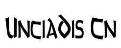 UnciaDis Cn Font Image