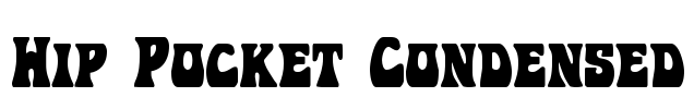 Hip Pocket Condensed Font Image