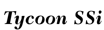 Tycoon SSi