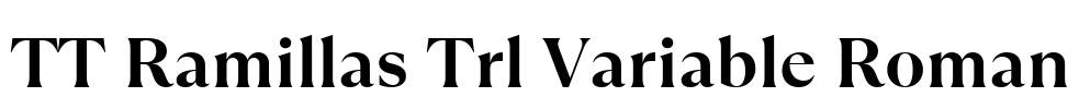 TT Ramillas Trl Variable Roman Font Image