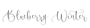 Blueberry Winter Font Image