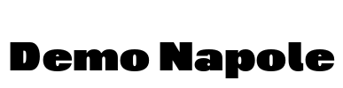 Demo Napole Font Image