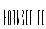 HORNSEA FC Font Image