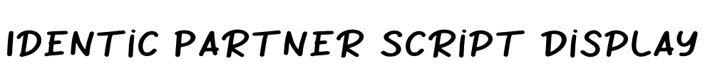 Identic Partner Script Display Font Image