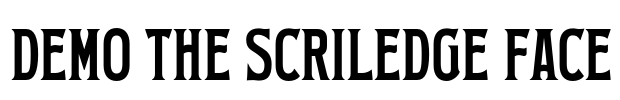 Demo The Scriledge Face Font Image
