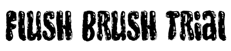 Flush Brush Trial Font Image