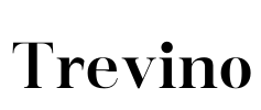 Trevino Font Image