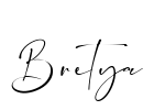 Bretya Font Image