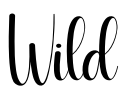 Wild Font Image