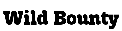 Wild Bounty Font Image