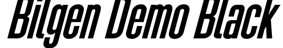 Bilgen Demo Black Font Image