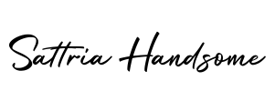 Sattria Handsome Font Image