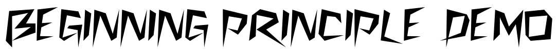 BEGINNING PRINCIPLE DEMO Font Image