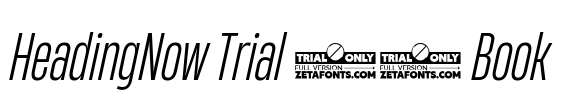 HeadingNow Trial 33 Book Font Image