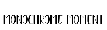 Monochrome Moment Font Image