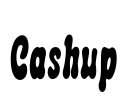 Cashup Font Image