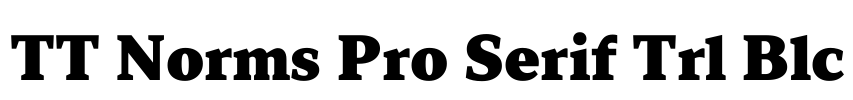 TT Norms Pro Serif Trl Blc Font Image