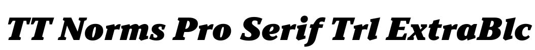 TT Norms Pro Serif Trl ExtraBlc Font Image