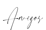 Amigos Font Image
