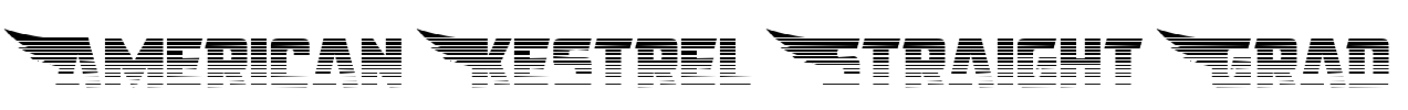 American Kestrel Straight Grad Font Image