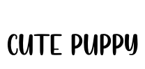 Cute Puppy