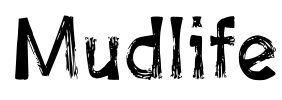 Mudlife