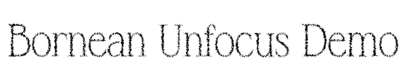 Bornean Unfocus Demo Font Image