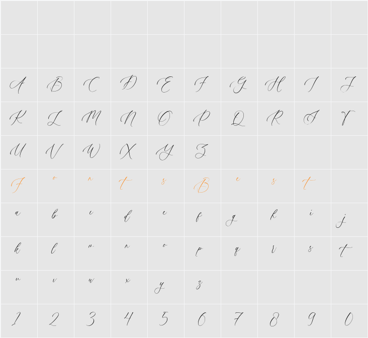 Silver Pearl Character Map
