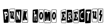Punk Homo Erectus Font Image