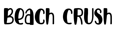 Beach Crush Font Image