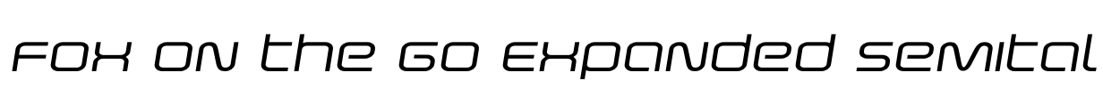 Fox on the Go Expanded SemItal Font Image