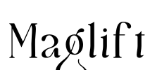Maglift
