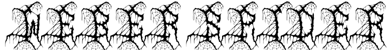 WEBER SPIDER Font Image