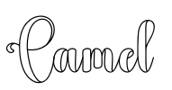 Camel