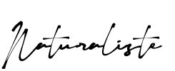 Naturaliste Font Image