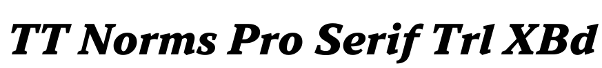 TT Norms Pro Serif Trl XBd Font Image