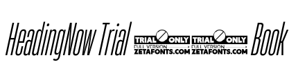 HeadingNow Trial 13 Book Font Image