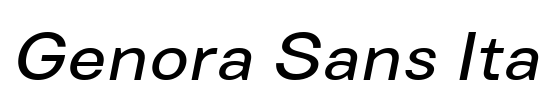 Genora Sans Ita Font Image