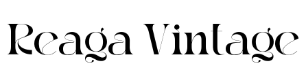 Reaga Vintage Font Image