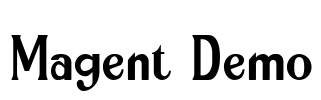 Magent Demo