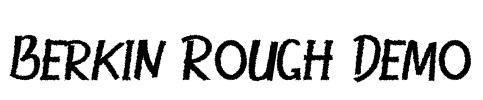 Berkin Rough Demo Font Image