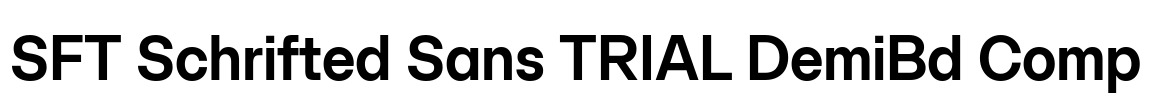 SFT Schrifted Sans TRIAL DemiBd Comp