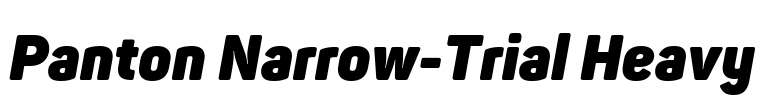 Panton Narrow-Trial Heavy