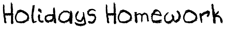 Holidays Homework