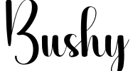 Bushy Font Image